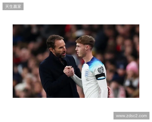 图赫尔谈10号位:一阶段考察帕尔默&福登;二阶段贝林&罗杰斯